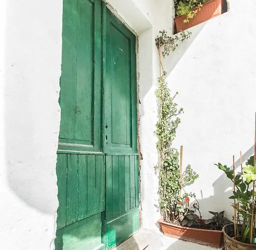 Lejlighed Red Valentino *